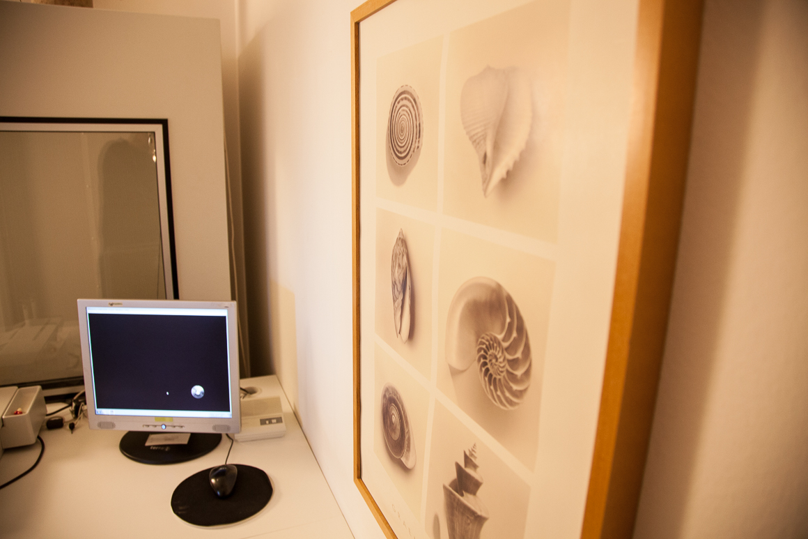 Galeriebild 2